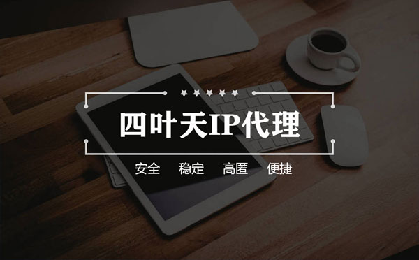 【河源代理IP】如何快速搭建代理IP？怎么检查代理的效果？